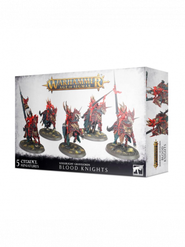 W-AOS: Soulblight Gravelords - Black Knights (5 figurek)