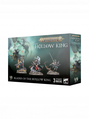 W-AOS: Soulblight Gravelords - Blades of The Hollow King (3 figurky)