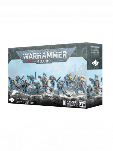 W40k: Space Wolves - Grey Hunters (10 figurek)