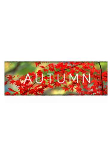 Autumn (PC/MAC/LX) DIGITAL (DIGITAL)