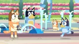 Blueys Happy Snaps Deluxe Edition (XSX)