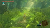 The Legend of Zelda: Breath of the Wild - Nintendo Switch 2 Edition (SWITCH)