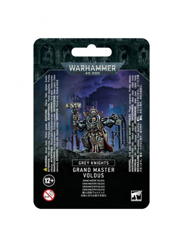 W40k: Grey Knights - Grand Master Voldus (1 figurka)