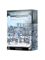 W40k: Space Wolves - Combat Patrol (17 figurek)