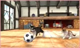 Nintendogs + Cats - French Bulldog and new Friends 3DS (WII)