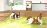 Nintendogs + Cats - French Bulldog and new Friends 3DS (WII)