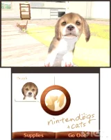 Nintendogs + Cats - Golden Retriever and new Friends 3DS (WII)