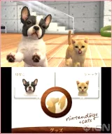 Nintendogs + Cats - Toy Poodle and new Friends 3DS (WII)