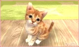 Nintendogs + Cats - Toy Poodle and new Friends 3DS (WII)