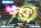 Ready 2 Rumble Revolution (WII)