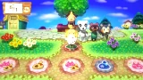 Animal Crossing: Festival + Amiibo Isabel + 3 karty (WIIU)