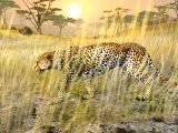 Cabelas African Safari (XBOX 360)