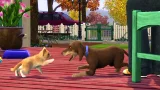 The Sims 3: Pets (XBOX 360)