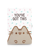 Zápisník Pusheen - You've Got This