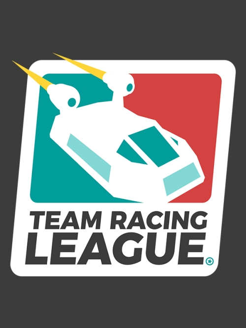 Team Racing League (PC)