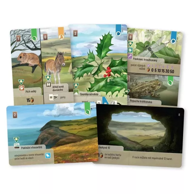 Desková hra Smíšený les: Dartmoor Exmoor (rozšíření) - Strategická desková hra