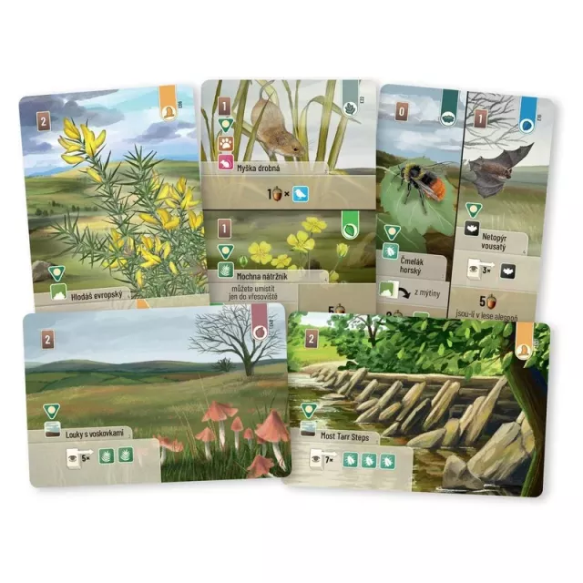 Desková hra Smíšený les: Dartmoor Exmoor (rozšíření) - Budovatelské
