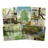 Desková hra Smíšený les: Dartmoor - Strategická desková hra