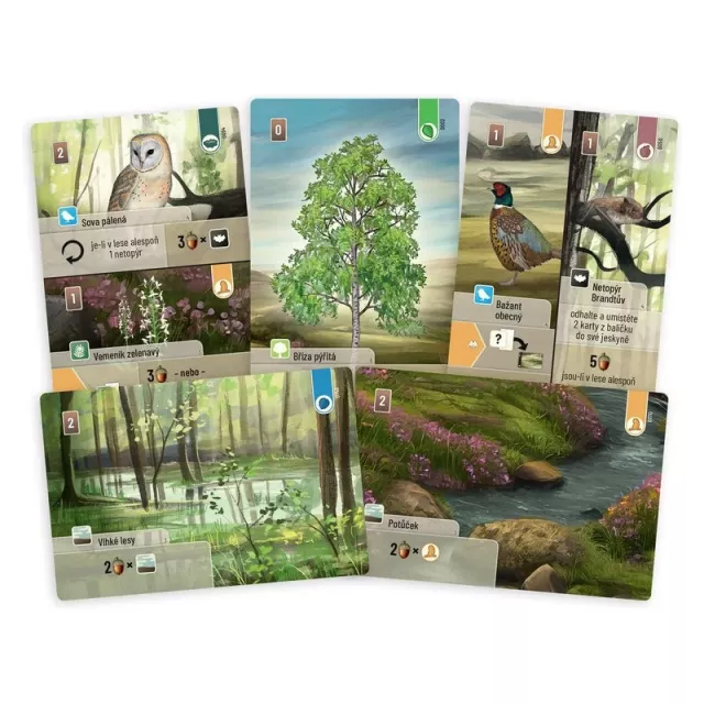 Desková hra Smíšený les: Dartmoor - Strategická desková hra