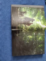 recenze-mira