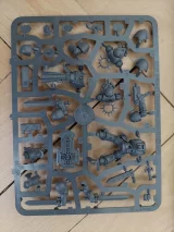 recenze-prehledovy-clanek