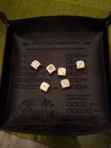 recenze-expertni-posudek