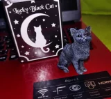 recenze-zaverecne-hodnoceni