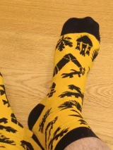 recenze-posudkova-zprava